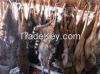 Animal Skins And Hides