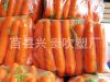 supply anti fog bag carrot bag pe bag for vegetable