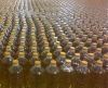 Refined Sunflower Oil