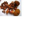 GALLSTONES (OX, COW)