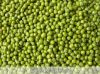 Raw Green Mung Beans  Good Quality.