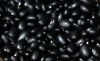 Black Beans or Michgun Beans