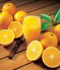 Fresh Citrus Fruits, Valencia and Navel Orange Wholesale Prices
