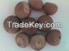 Sell Betel nut