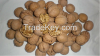 Sell Walnut in shell / Walnut Kernels