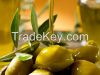 Sell Olive oil