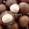 sell macadamia nuts