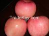 Supply Fresh Fuji Apples & Royal Gala Apples Grade A