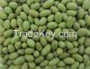 Wasabi Flavor Coated Peanuts/Groundnuts