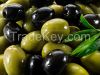 Fresh Green & Black Olives