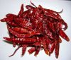 Dry and Fresh Red Chillies