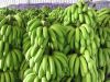 Fresh Cavandish Bananas