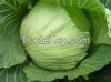 fresh vegetables from cameroon for sale