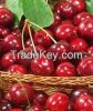 Fresh Cherry Fruits