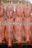 Halal Lamb/ Sheep/ Mutton Carcass