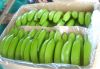 Green Banana/ Fresh Banana/ Cavendish Banana high quality from S.A