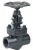 Forged steel globe valve