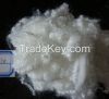 Sell Hollow Fiber