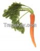 Carrots