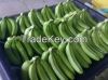 Cavendish Bananas