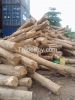 TEAK WOOD