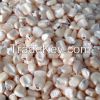 Sell White Dry Maize