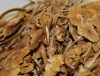 Sell Dried Agrocybe Cylindracea(mushroom)