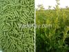 Alfalfa pellets (lucerne hay pellets)