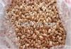 Organic Milling Wheat