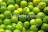 Fresh Lime for Sale
