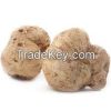 Sell White Truffle