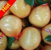 Fresh pomelo