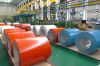 prepainted galvanized steel coils