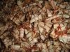 Sell Dried shrimp shell