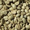 Robusta Coffee Beans