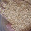 White Millet