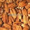 High Quality Pecan nuts for sale