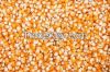 Animal Feed, Barley, Soybean Meal, Yellow maize, Canary seeds, Hemp Seeds, rape seeds, Sorghum Seeds, Oats, canola seeds, Niger seed, Feather meal, Bone meal, Blood meal, fish meal, Flax Seeds