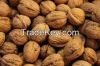 walnuts