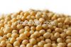 100% organic natural soybeans for hot sales NON-GMO
