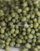 Green Mung Beans