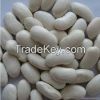 White kidney beans