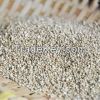 High quality Chenopodium quinoa grain