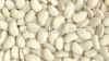 Large Lima Beans, Canned Butter Beans, Chinese White Kidney Beans Flat Size 50-60pcs