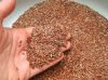 Ekgaon Flax seed