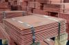 Sell: Copper Cathode made in Germany