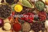 spices and herbs (Garlic Powder)