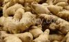 Good quality fresh Ginger