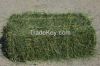 Quality Alfalfa Hay Bales Lucerne Fodder