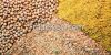 Meat & Bone Meal, Palm Kernel Cake, Fish Meal, Soybean Meal, Feed Barley, Animal Feed, Sunflower Cake
